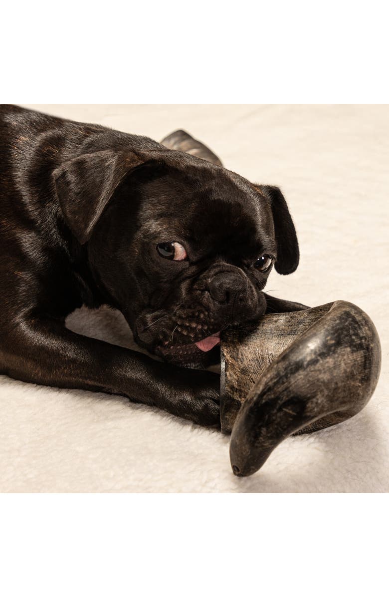 MOSSY OAK Water Buffalo Horn - Small - Dog Chew, Long Lasting Pet Treat, Alternate, color, Multicolored