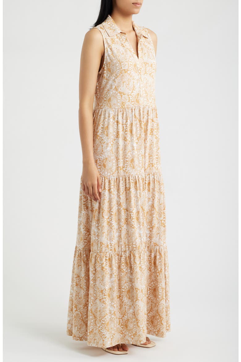 Riegan Maxi Dress, Alternate, color, ICED LATTE LIL JIMS STUFF