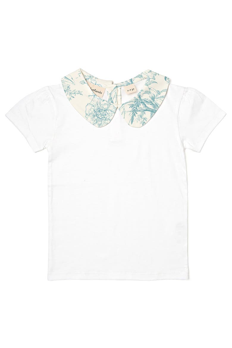 Print Peter Pan Collar Top, Main, color, Antique Butterfly