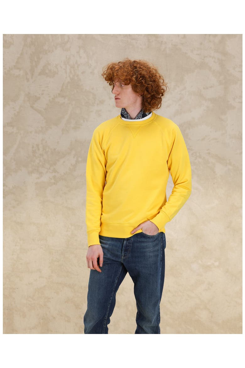 Harvard Crewneck Sweatshirt, Alternate, color, YELLOW