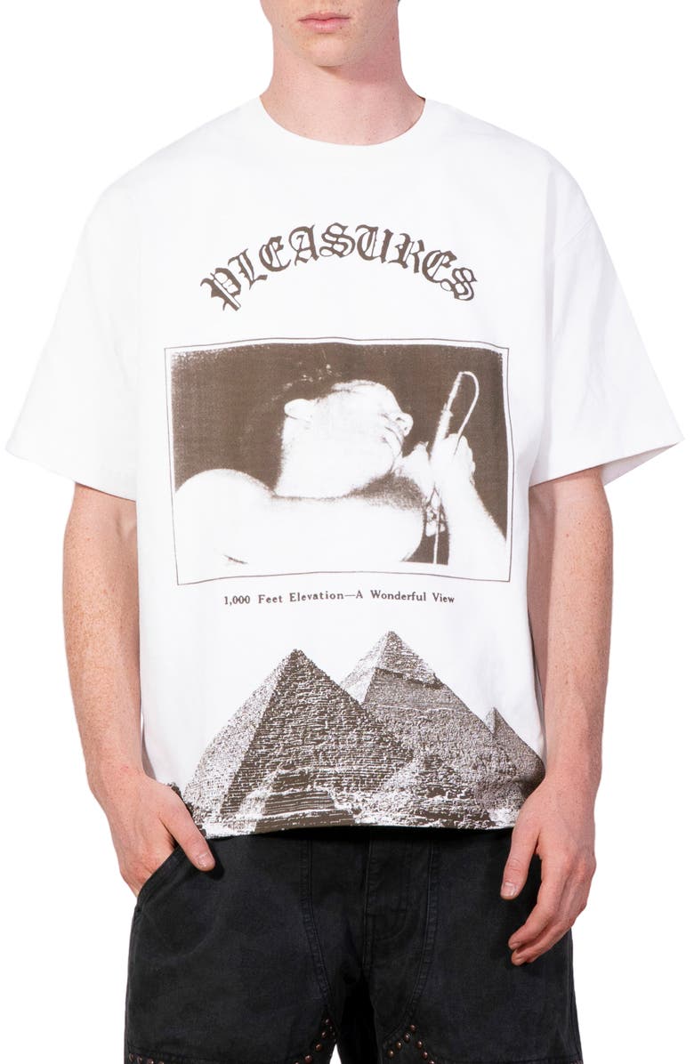 PLEASURES Elevation Heavyweight Cotton Graphic T-Shirt, Main, color, White