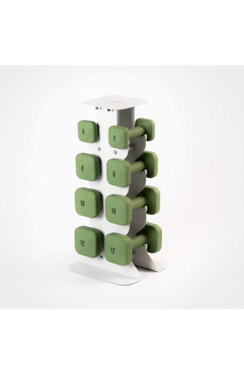 WeGym SafeGrip Dumbbells Upper Set with Light Rack - Rose - 10, 12, 15, 20lbs, Main, color, Forest