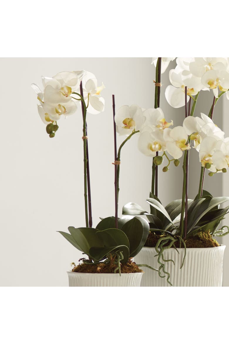 23" Phalaenopsis Orchid Drop-In Flower Floral Plant Root Ball Tabletop Decor, Alternate, color, White