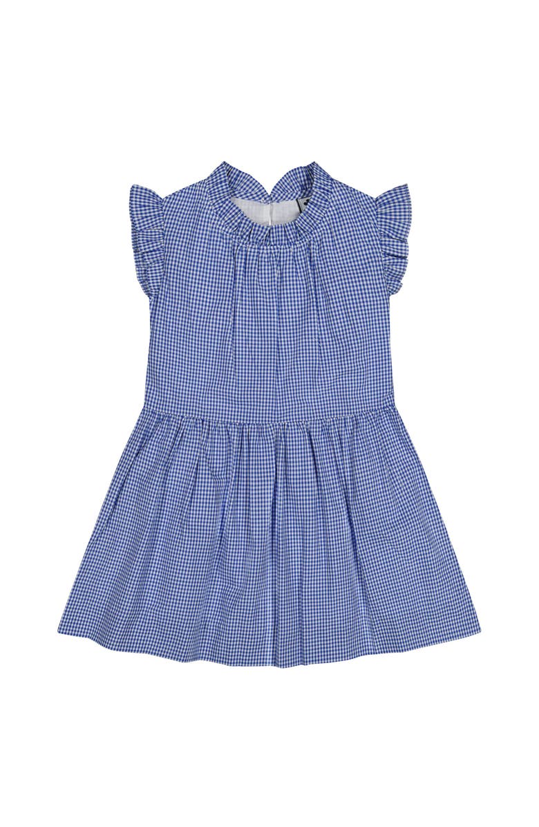 Busy Bees Kinsley Dropwaist Dress Mini Blue Check, Main, color, Blue Check