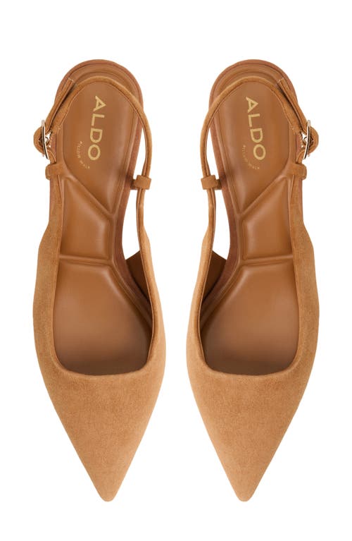 Aldo Adan Pointed Toe Slingback Pump In Brown