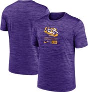 Nike Men's Nike  Purple LSU Tigers Campus Center Block Velocity Performance T-Shirt