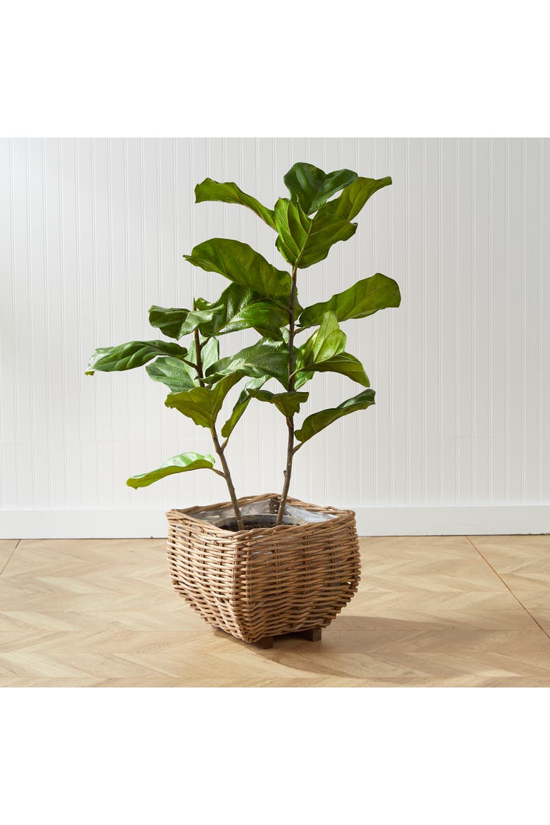 Fiddle Leaf Fig Potted 43", Alternate, color, Green