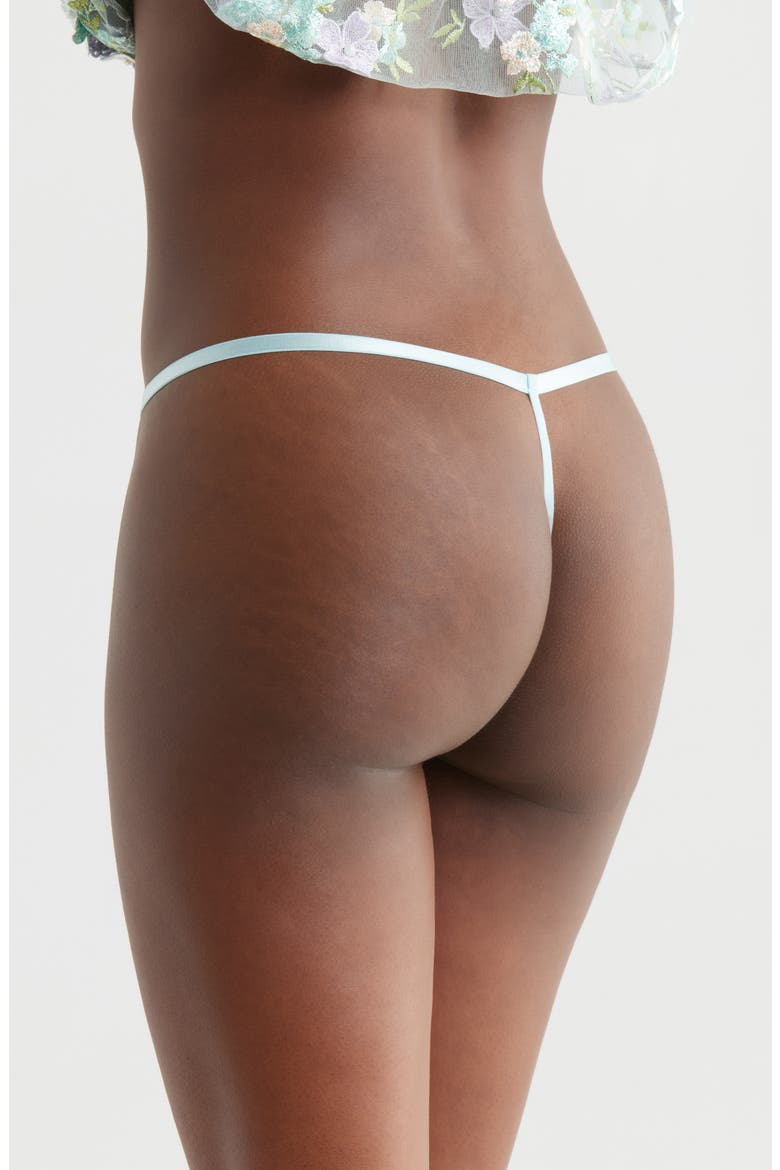 Floral Embroidered G-String, Alternate, color, POWDER BLUE MULTI