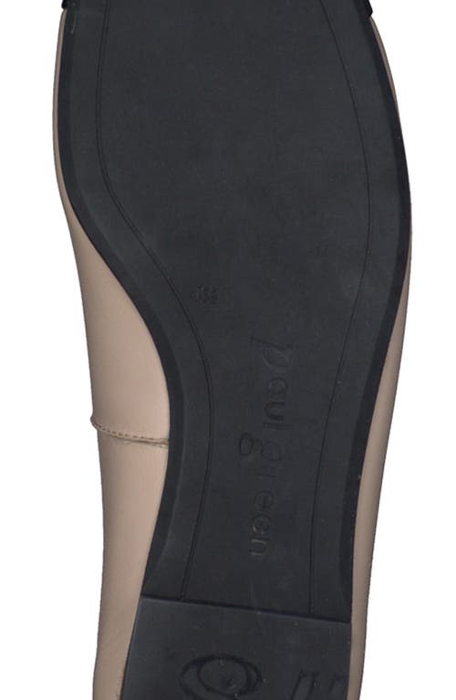 Paul Green Violet Ballet Flat In Neutral