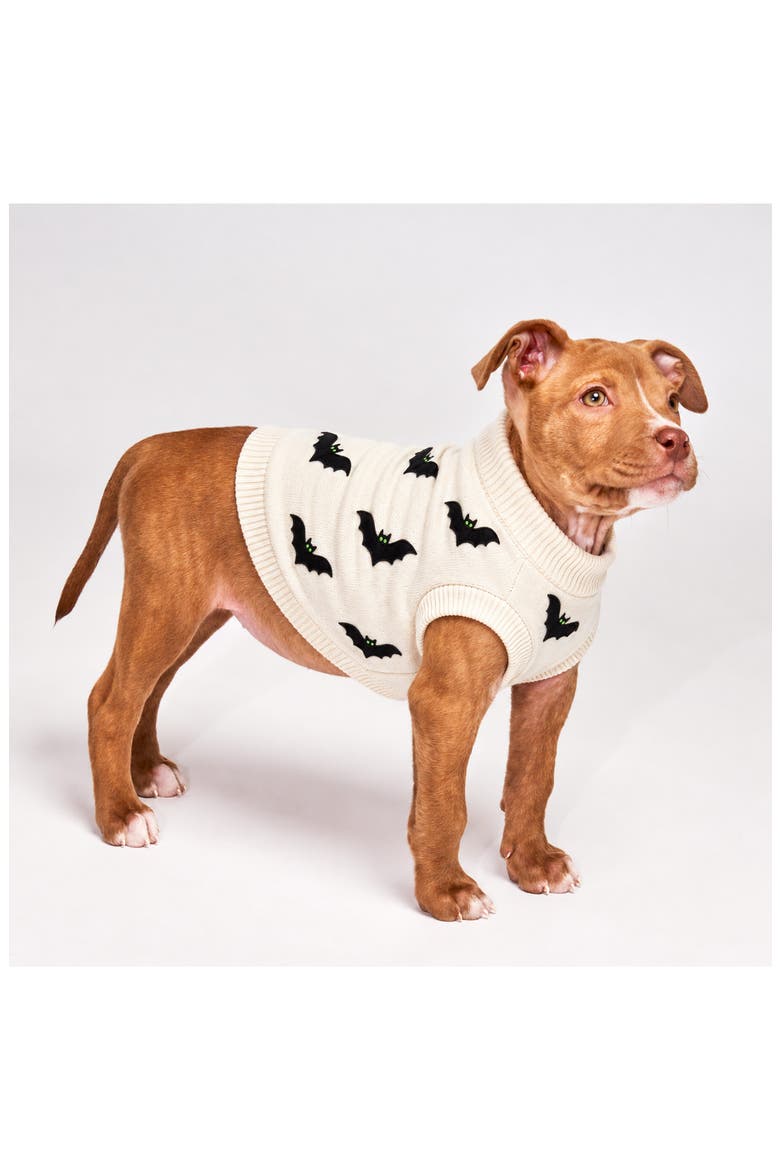 Bat Dog Sweater, Alternate, color, CREAM
