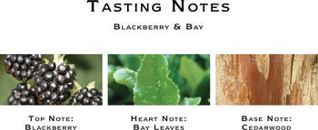 Jo Malone<sup>™</sup> Blackberry & Bay Body & Hand Wash