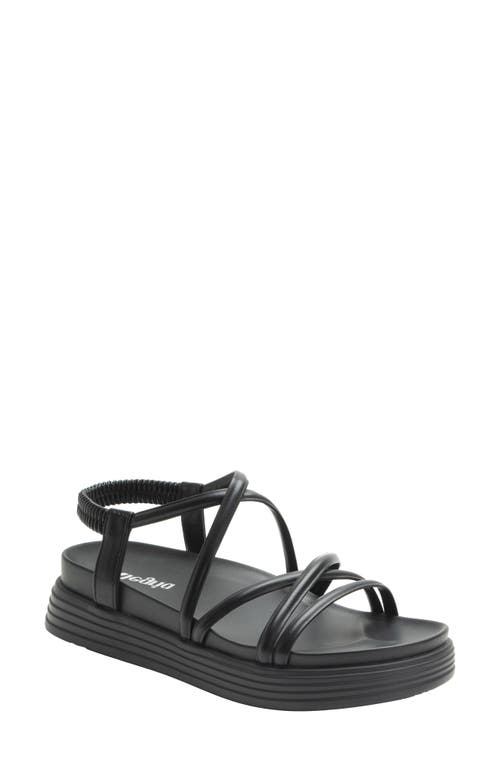 Alegria By Pg Lite Audie Platform Sandal In Black