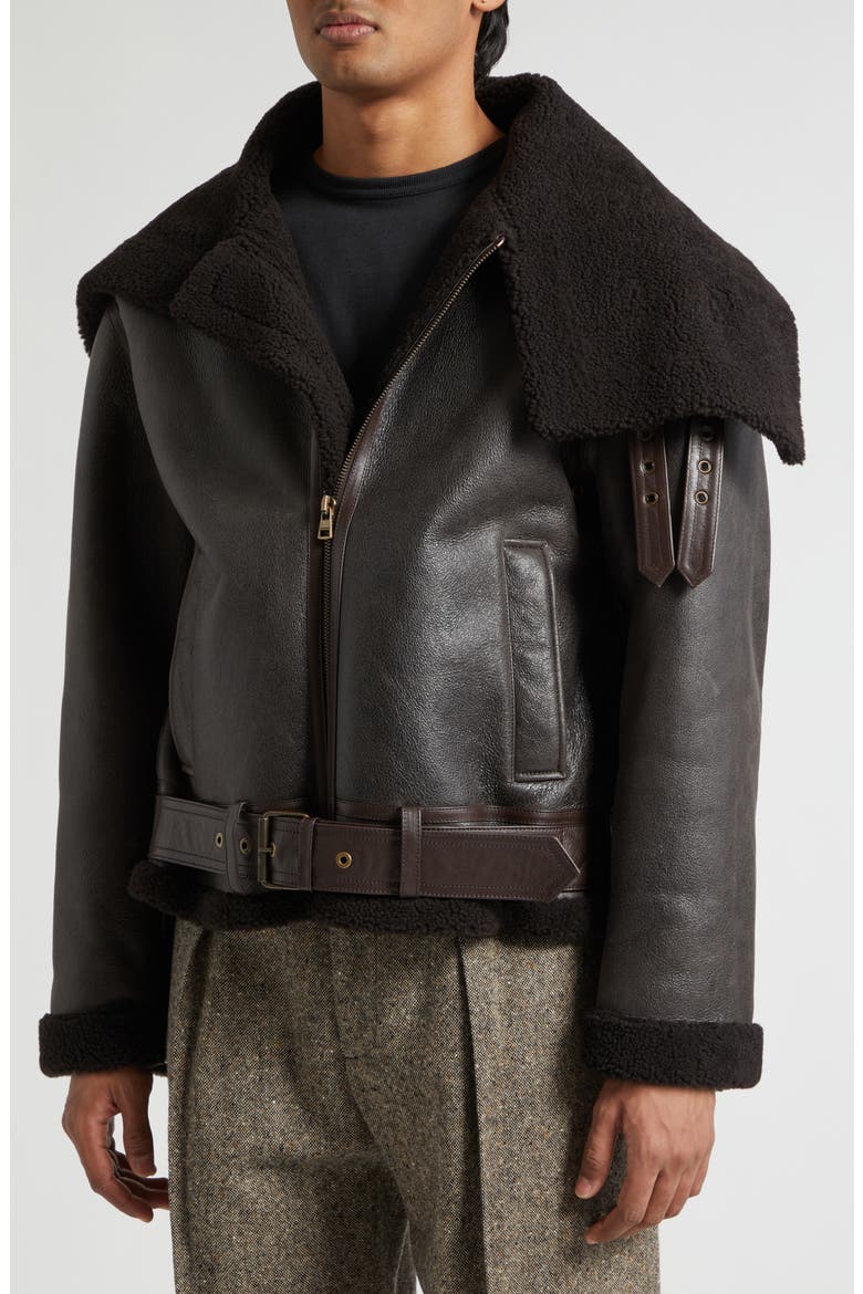 Belted Lambskin & Genuine Shearling Aviator Jacket, Alternate, color, CHOCOLATE BROWN/ BROWN