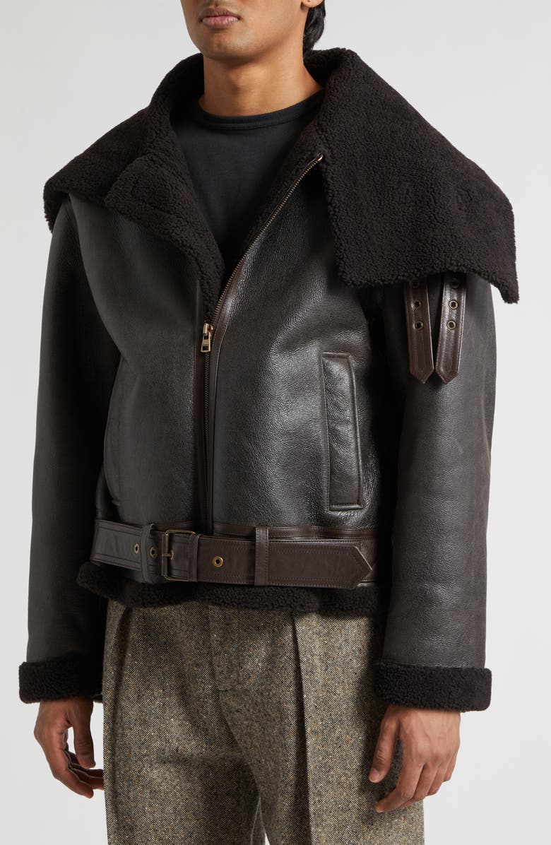 JW Anderson Belted Lambskin & Genuine Shearling Aviator Jacket, Alternate, color, Chocolate Brown/ Brown