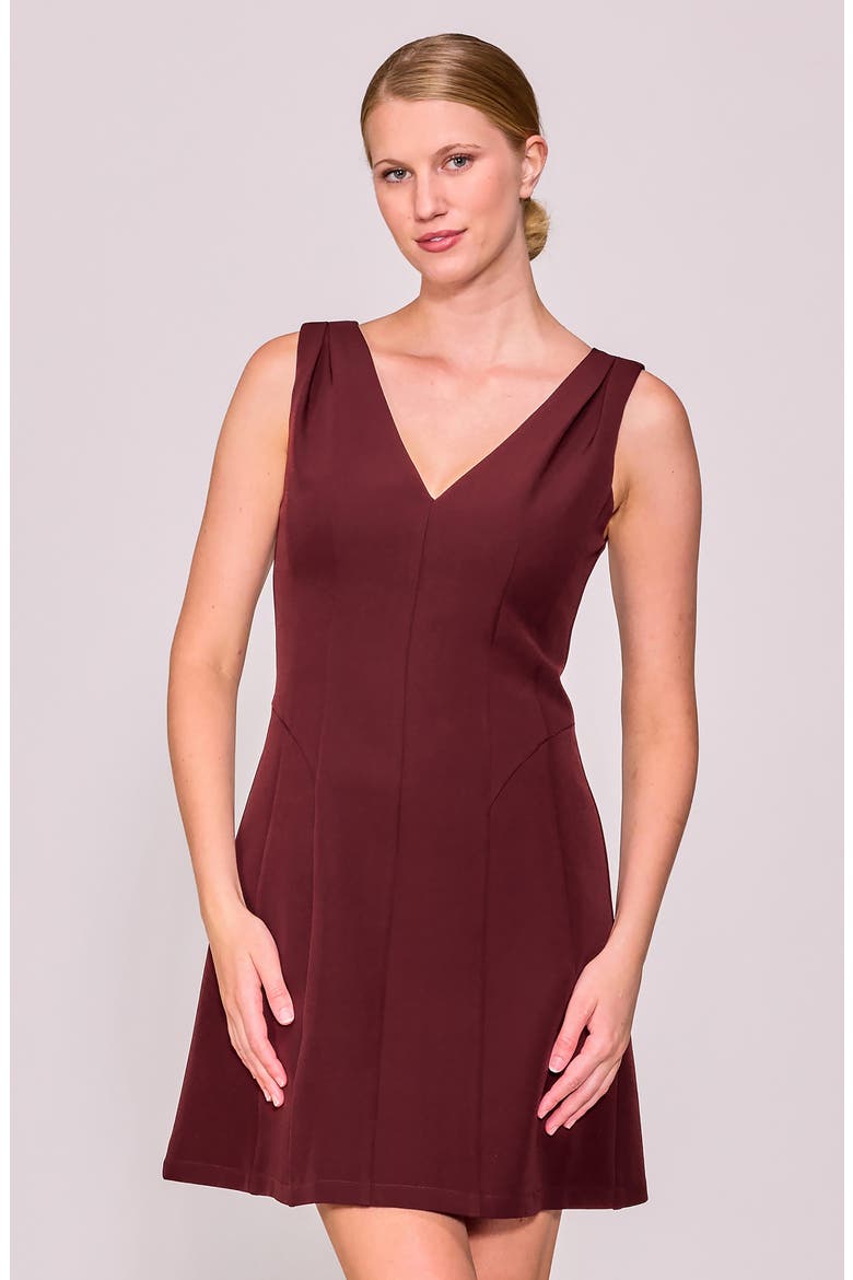 Tuck Shoulder Fit & Flare Dress, Alternate, color, BURGUNDY