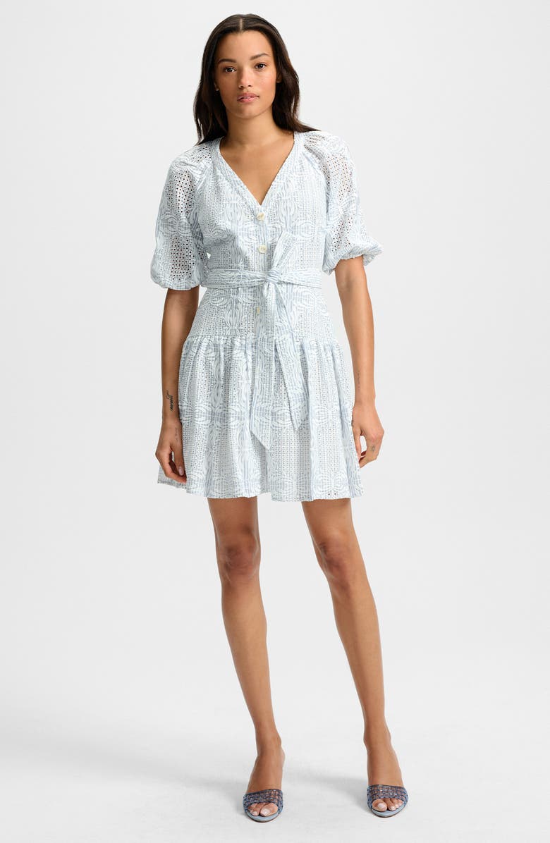 Veronica Beard Bobbie Embroidered Eyelet Puff Sleeve Fit & Flare Dress, Alternate, color, 