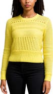 Bishop + Young Good Sport Pointelle Sweater