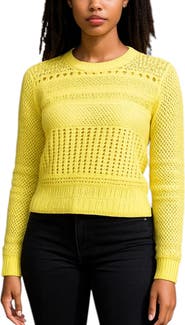Bishop + Young Good Sport Pointelle Sweater