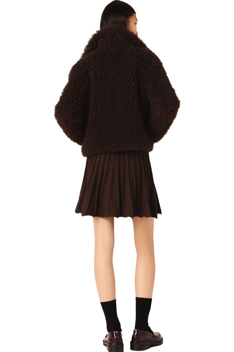 Short curly coat, Alternate, color, Dark brown