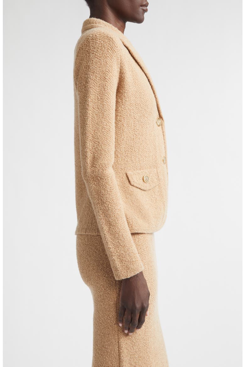 Cotton & Wool Blend Tweed Sweater Jacket, Alternate, color, CAMEL TWEED MULTI