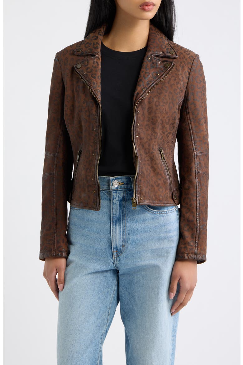 Nyxa RF Leopard Print Suede Leather Jacket, Main, color, WHISKEY