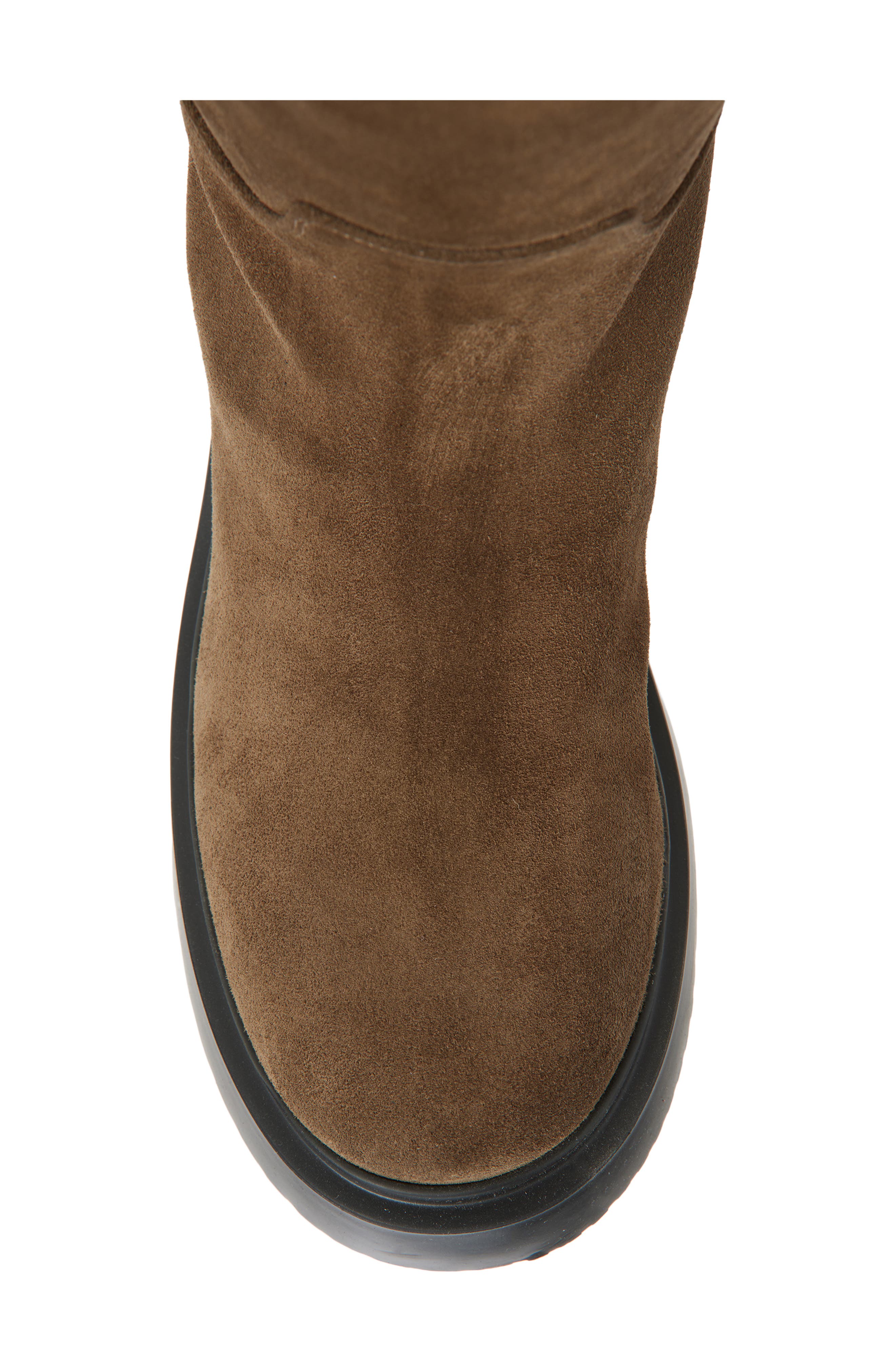 Proenza Schouler Bank Knee High Boot, Alternate, color, Bark