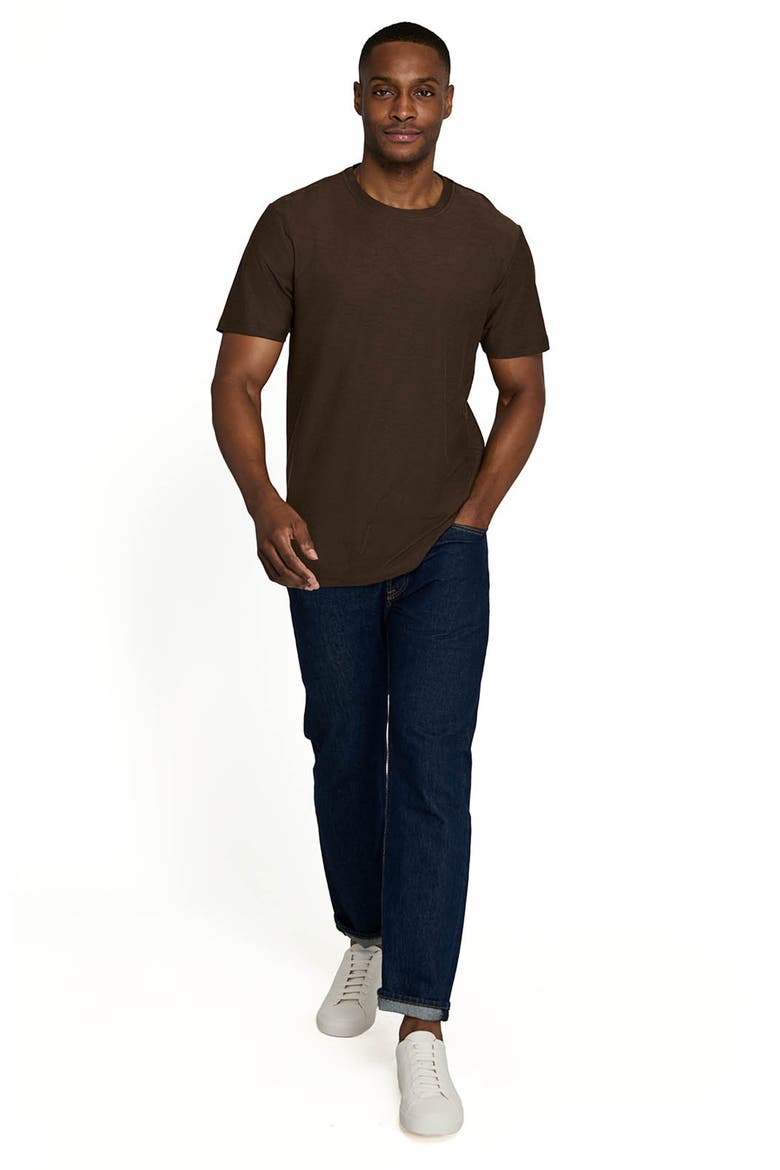 Solid Mapleton Luxe Cross Dyed T-Shirt, Alternate, color, BROWN