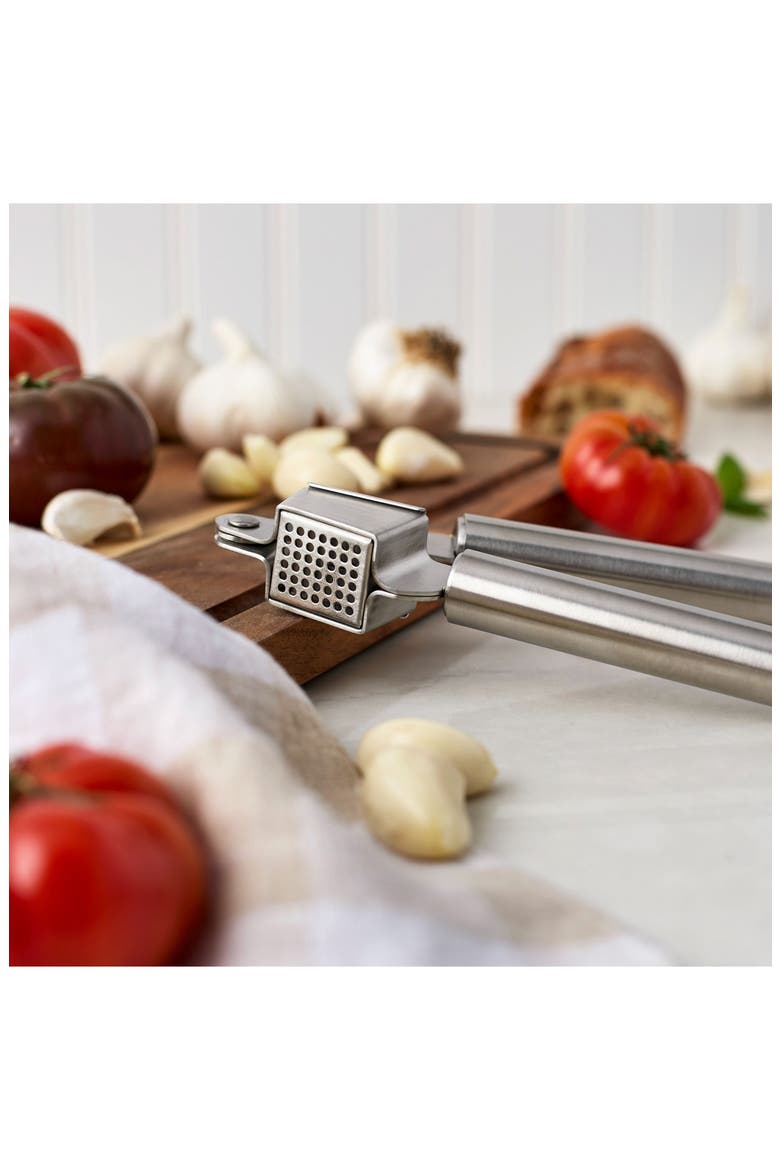 Stainless Steel Garlic Press, Alternate, color, STAINLESS STEEL
