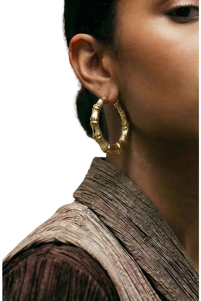 The Bamboo Hoop Earrings, Alternate, color, GOLD