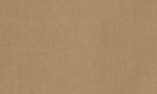 James Perse Three-quarter Sleeve Button-up Shirt In Brown