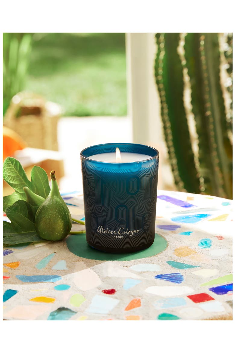 Figuier Andalou Candle, Alternate, color, NO COLOR