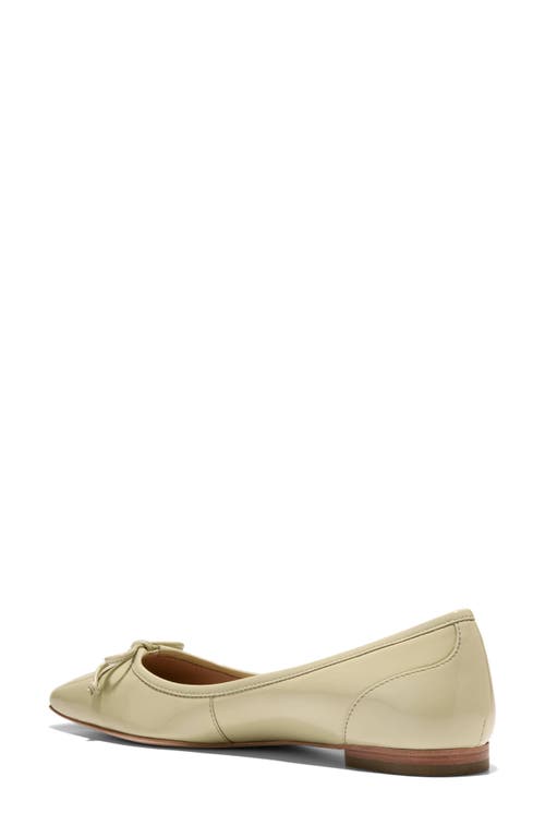 COLE HAAN COLE HAAN CHLEA POINTED TOE BALLET FLAT 