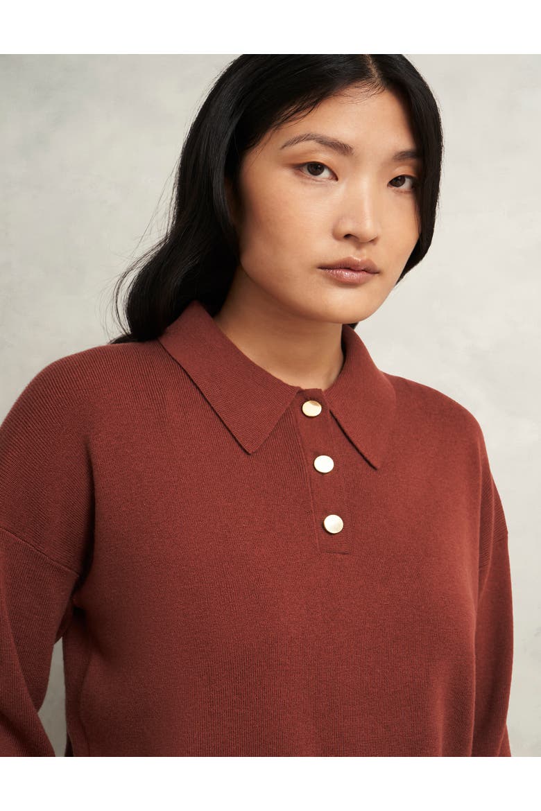 Connie Polo Sweater, Alternate, color, Cinnamon Brown