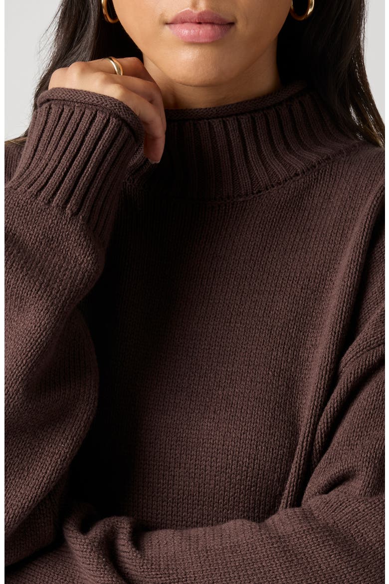 Roll With It Mock Neck Sweater, Alternate, color, CANYON BROWN