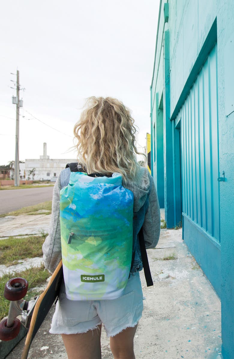 ICEMULE Jaunt 9-Liter Waterproof Cooler Backpack, Alternate, color,