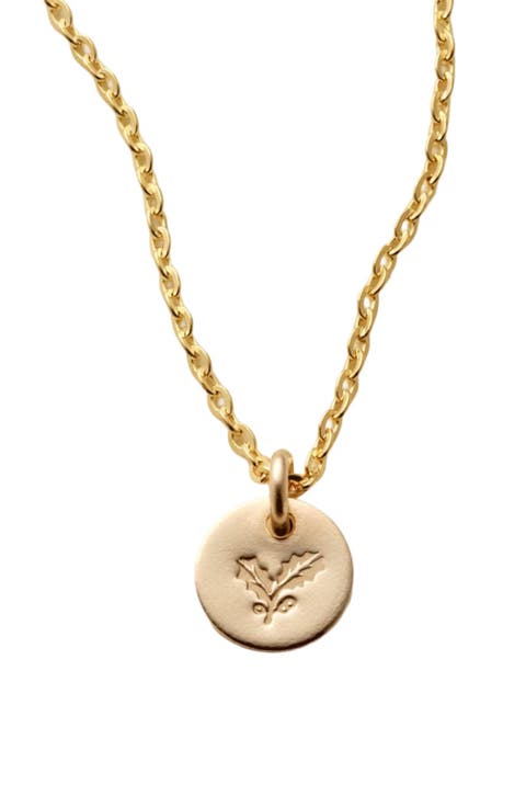 December Birth Flower Necklace