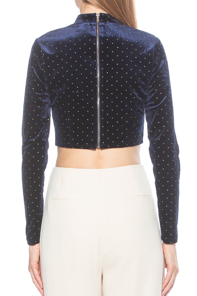Ari Long Sleeve Studded Velvet Crop Top, Alternate, color, NAVY