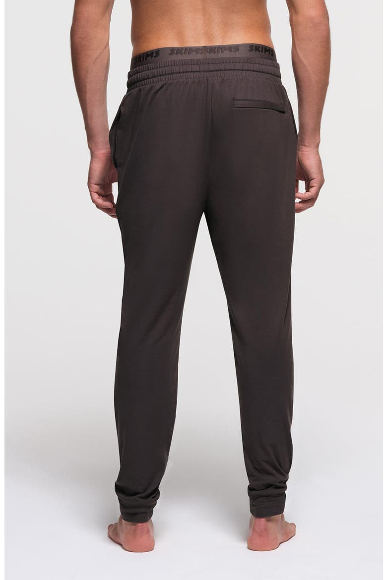 Outdoor Jersey Tapered Joggers, Alternate, color, IRON