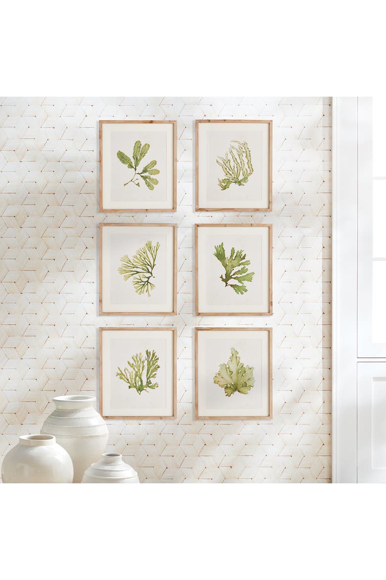 Kelp Prints, Set Of 6, Alternate, color, Green