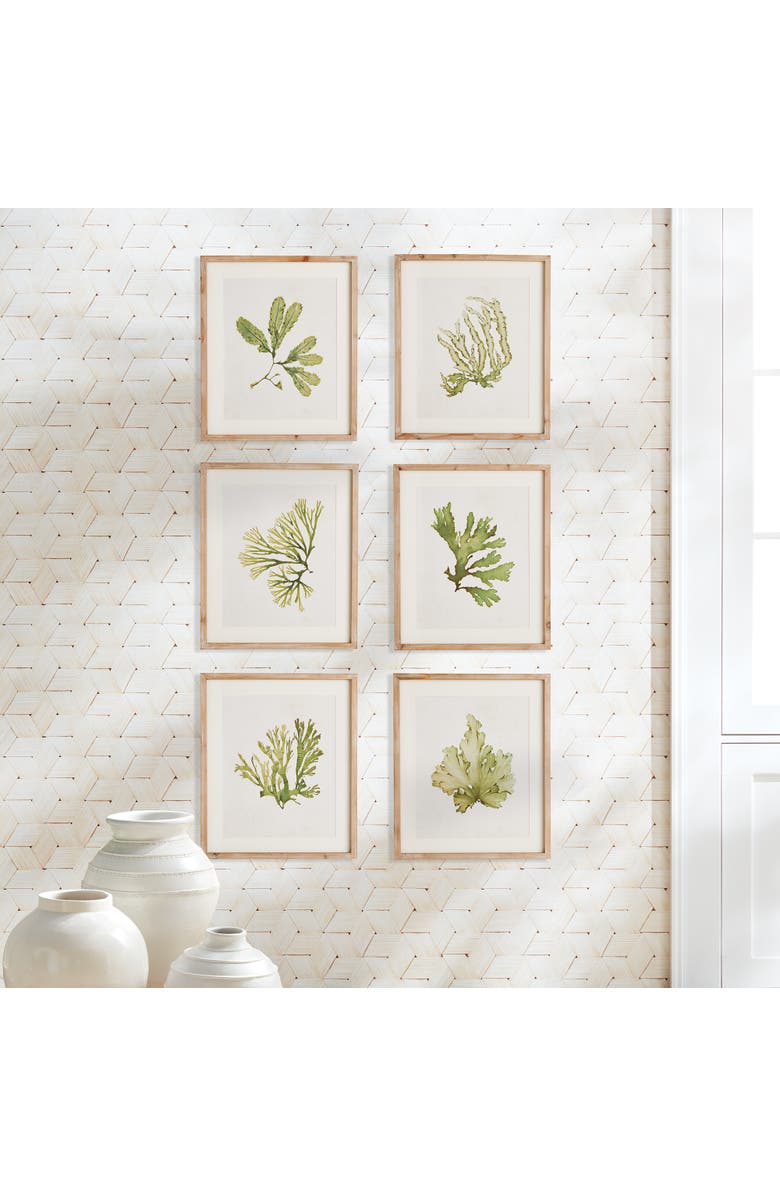 Napa Home & Garden Kelp Prints, Set Of 6, Alternate, color, Green