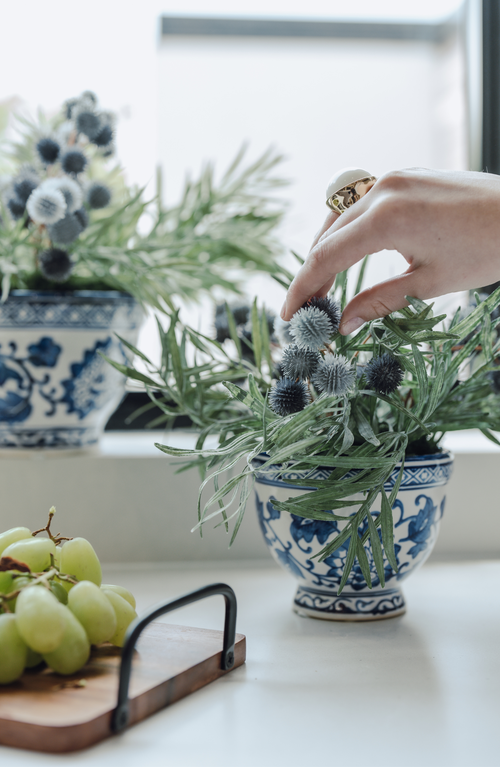 Cocobella Elowen Thistle Toile Bowl Arrangement