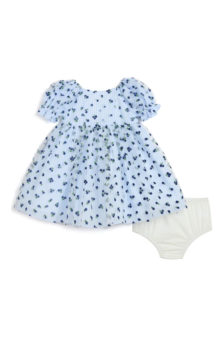 Floral Organza Stripe Puff Sleeve Dress, Main, color, BLUE/ WHITE