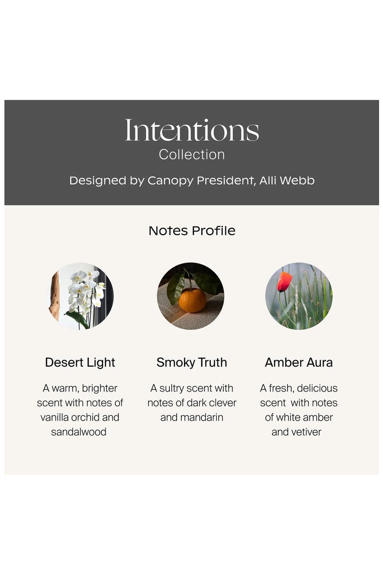Intentions Aroma Essential Oils Kit, Alternate, color, NO COLOR