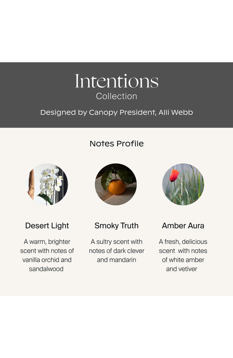 CANOPY Intentions Aroma Essential Oils Kit, Alternate, color,