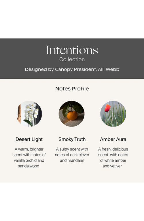 Canopy Intentions Aroma Essential Oils Kit In Transparent
