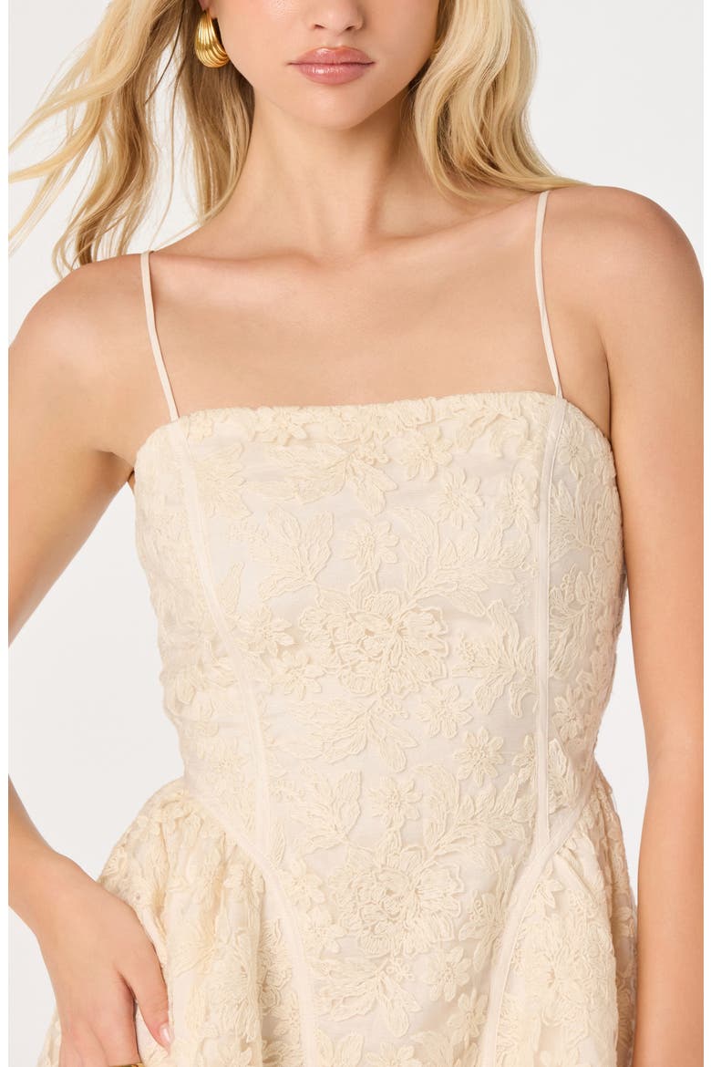 Natalya Embroidered Lace Cotton Blend Minidress, Alternate, color, CREAM