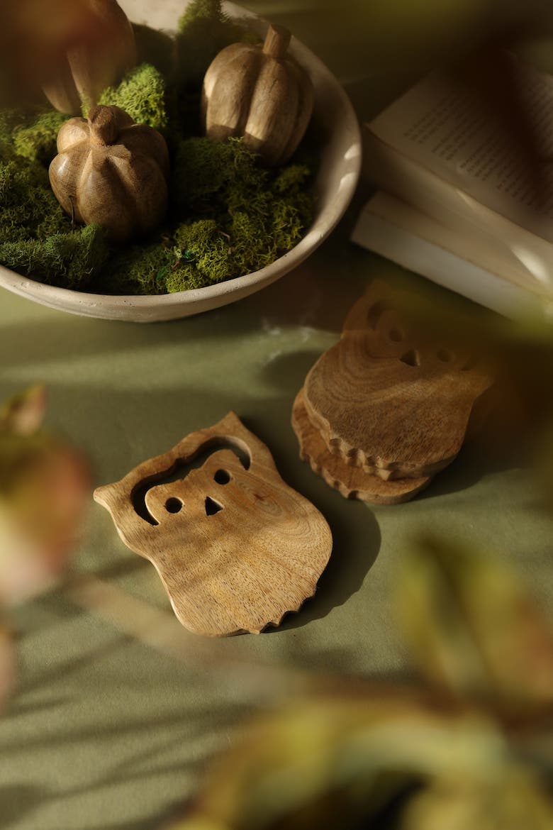 Owl Coasters 4" x 4" Set of 4, Alternate, color, Beige
