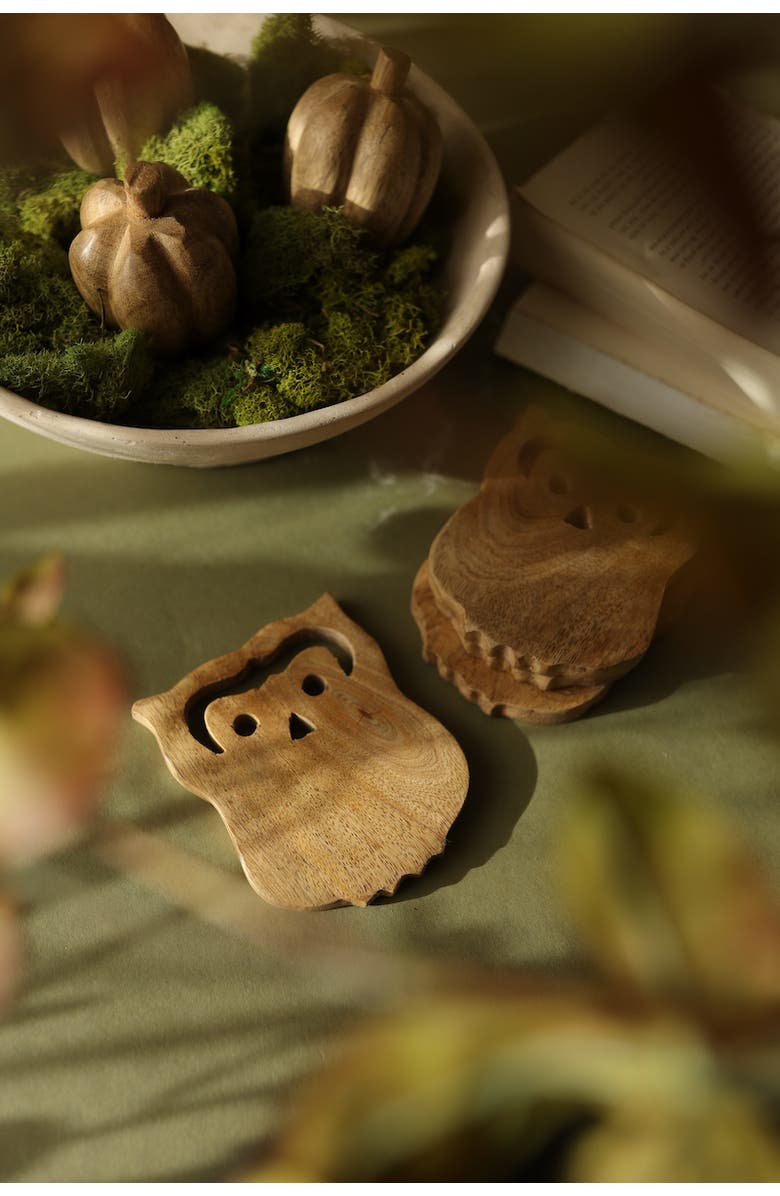 Foreside Home and Garden Owl Coasters 4" x 4" Set of 4, Alternate, color, Beige