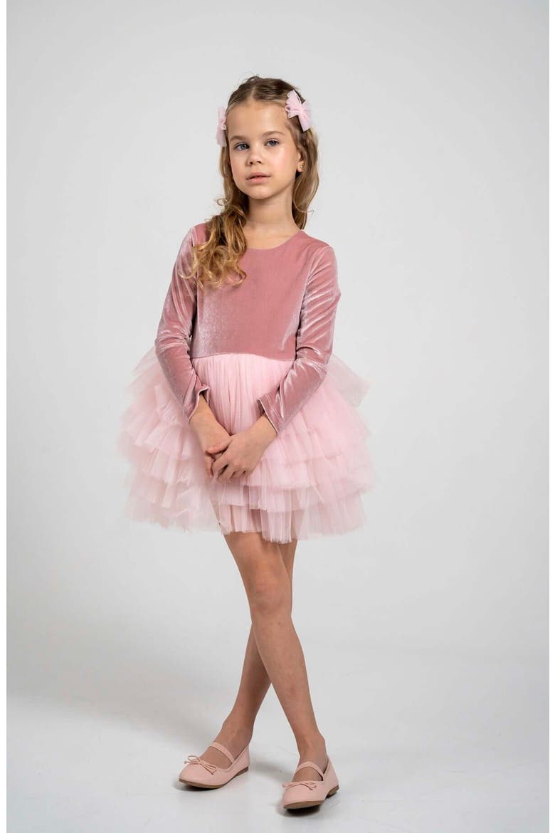 Velora Long Sleeve Velvet Tutu Dress, Alternate, color, Pink Rose