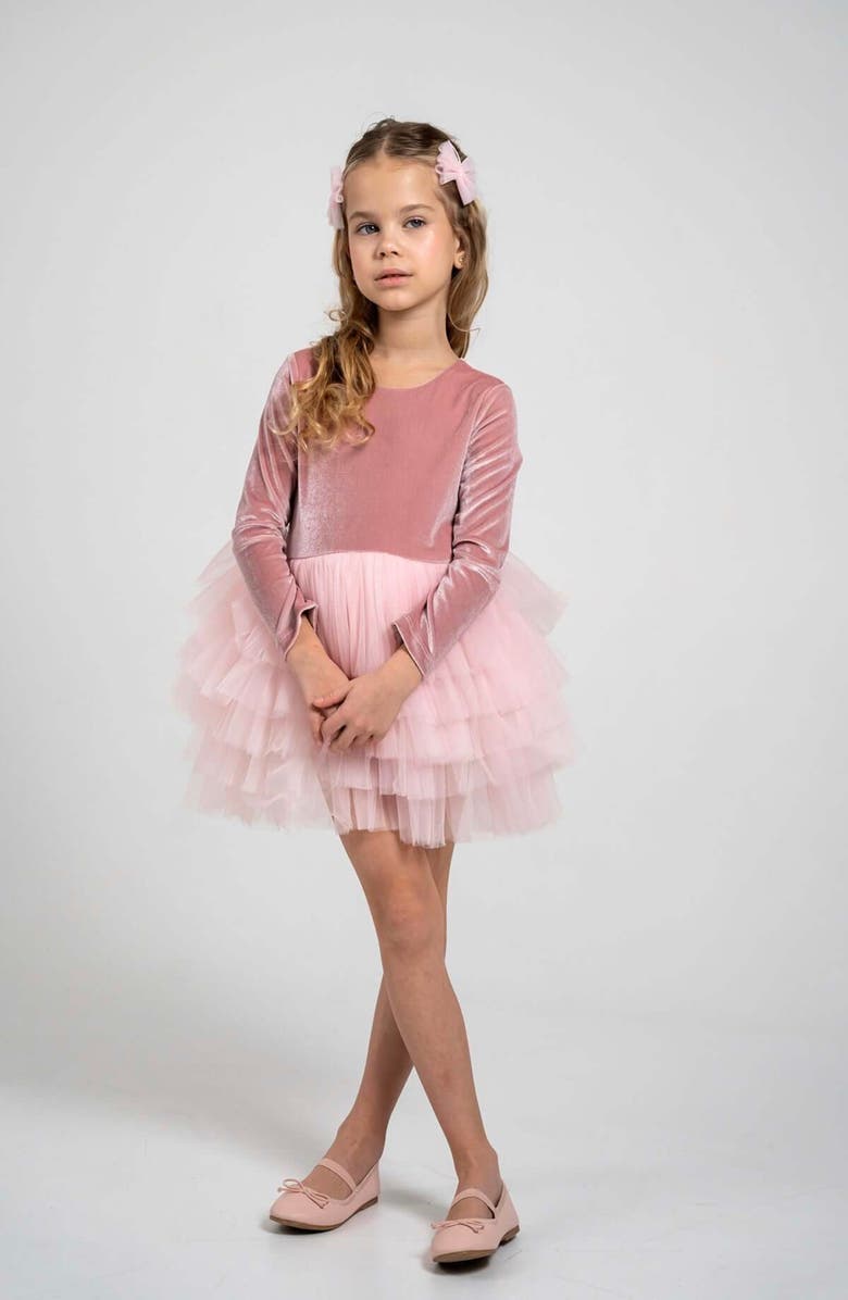 Mini Celebrities Velora Long Sleeve Velvet Tutu Dress, Alternate, color, Pink Rose